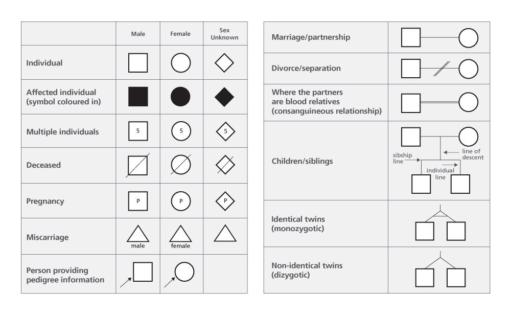 Taking And Drawing A Family History Genomics Education Programme