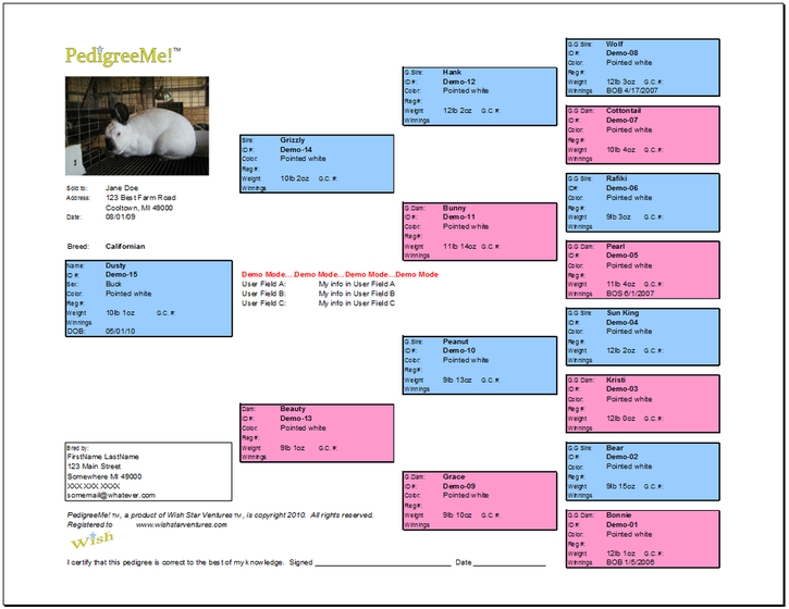 Taking Care Of Rabbits Pedigree Chart Free Rabbits Rabbit Breeds