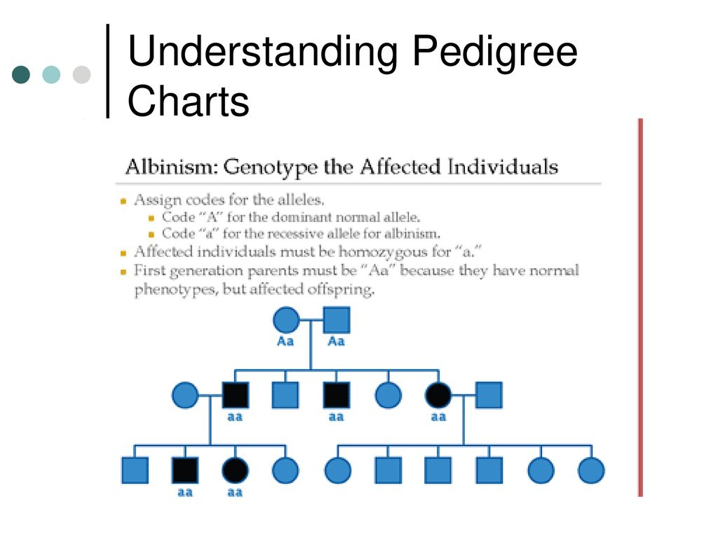 TEST CROSS How To Tell The Difference Between Homozygous And 