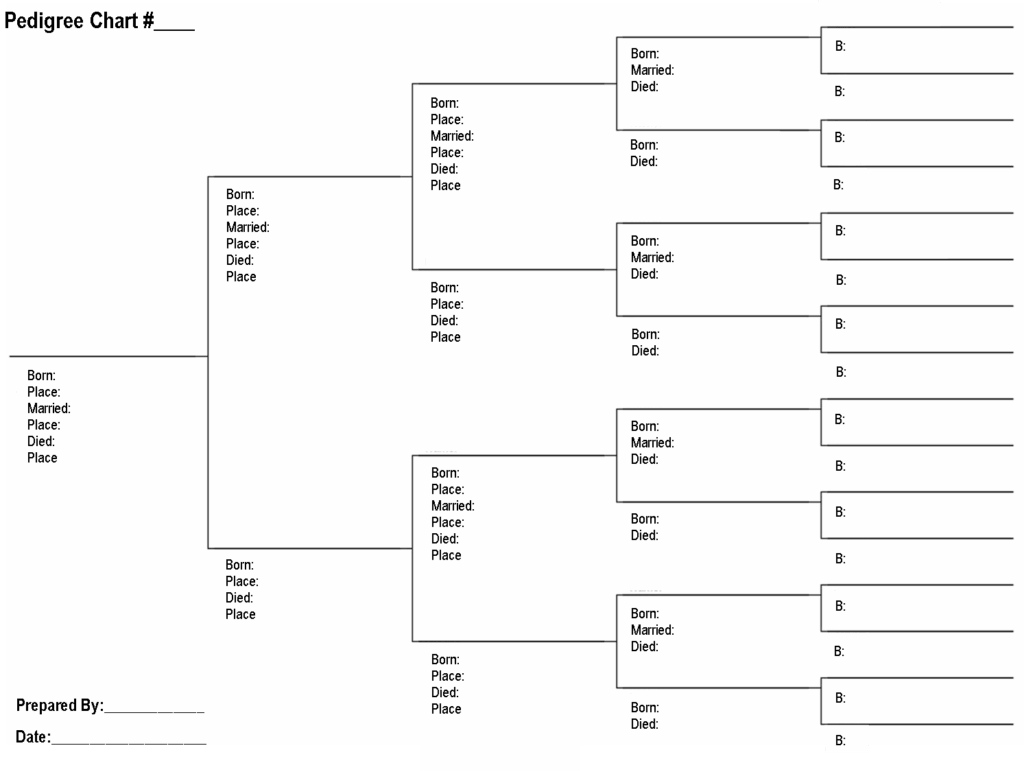 The Accuracy Of A Family Tree Family Tree Printable Family Tree 