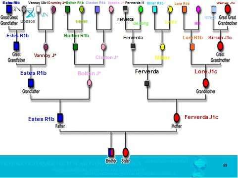 The DNA Pedigree Chart Mining For Ancestors DNAeXplained Genetic 