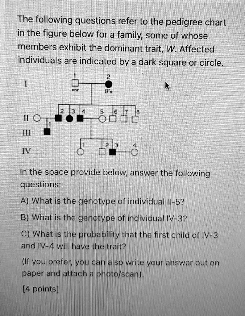 The Following Questions Refer To The Pedigree Chart In The Figure Below 