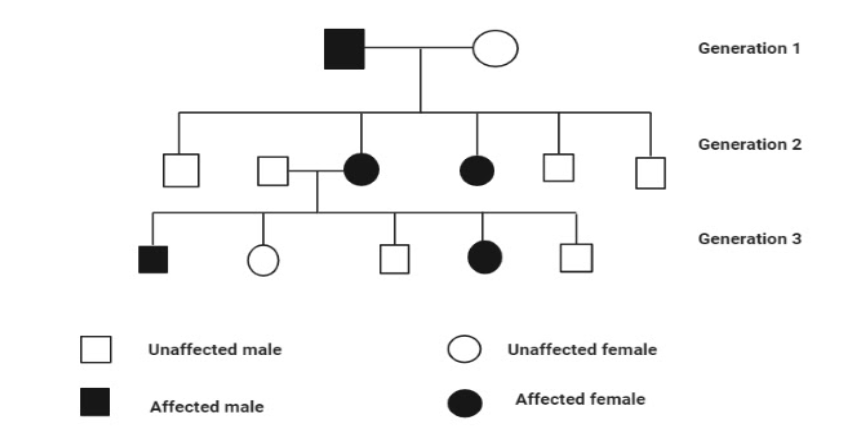 Trait Chart