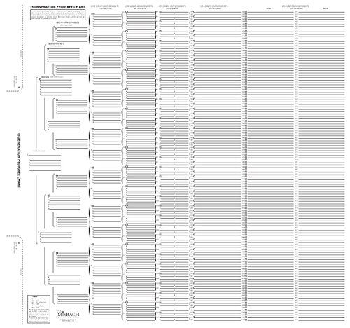 TreeSeek 15 Generation Pedigree Chart Blank Genealogy Forms For Family 