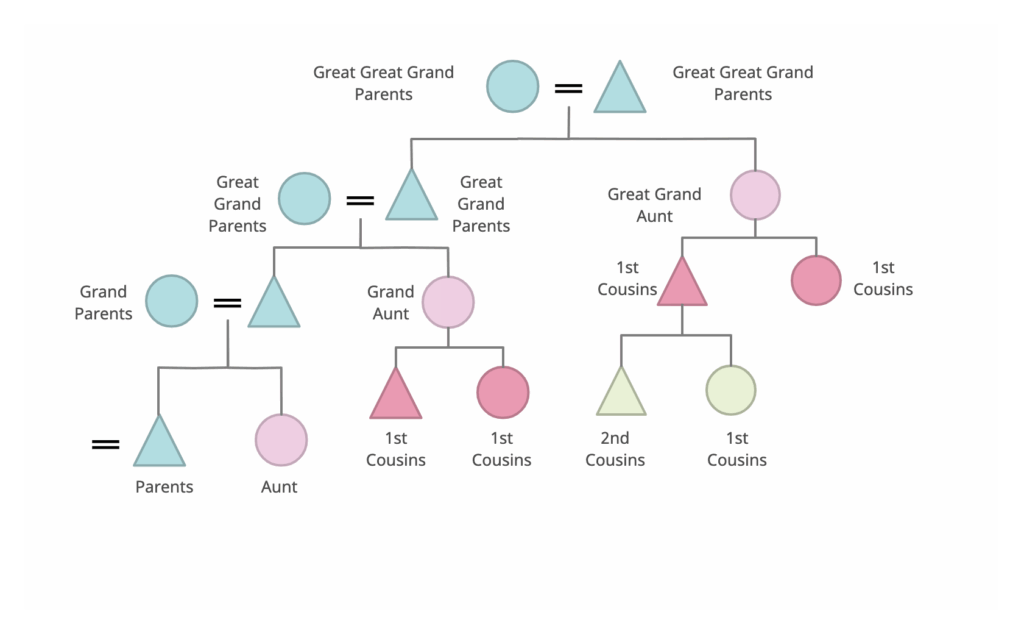 Triangle Family Tree