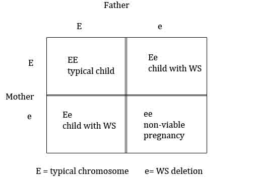 Understanding Williams Syndrome Genetics
