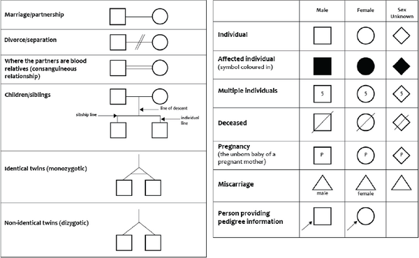 Variable Genome Genetic Pedigree Symbols And Legend