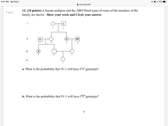 View Abo Blood Type Pedigree Chart PNG Blood Type