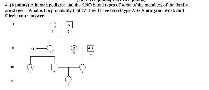 View Abo Blood Type Pedigree Chart PNG Blood Type