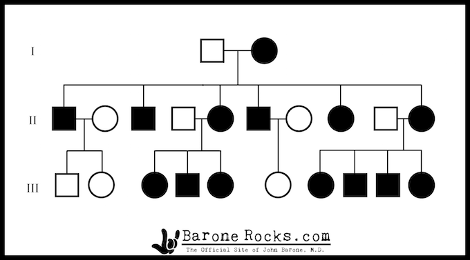 Werners Syndrome Chromosome
