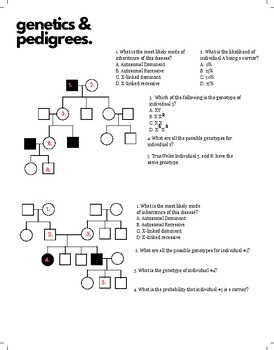 Worksheet Genetics Pedigree Worksheet Human About Genetics 