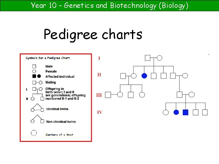 Year 10 Genetics And Biotechnology Biology Pedigree Charts